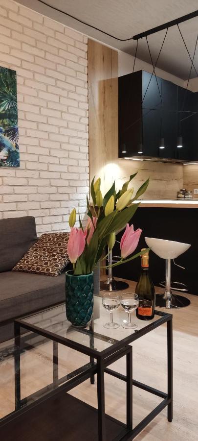 Be My Guest- Fontany Luxury Apartment Metro Wi-Fi Free Parking Zone 华沙 外观 照片